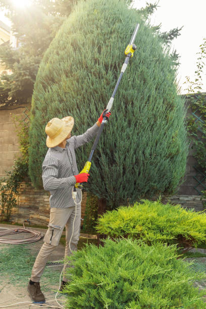 Best Leaf Removal  in Hacienda Heights, CA